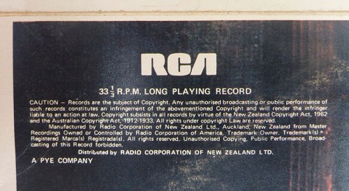 This is a thumbnail + ziggystardust_nz_detail3.jpg