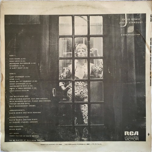 This is a thumbnail + ziggy-var-2-back.jpg