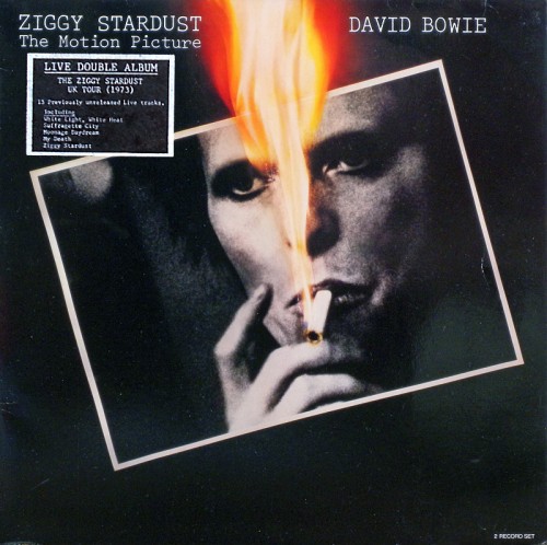 This is a thumbnail + Ziggy Front.JPG