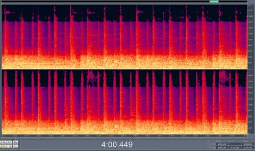 This is a thumbnail + baby 10 seconds mp3 320.jpg