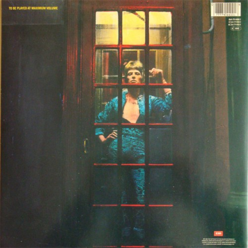 This is a thumbnail + ziggystardust_re_eec_back.jpg
